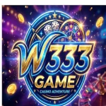 W333 Game